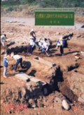 臺灣新石器時代卑南研究論文集 = Research papers on Neolithic Peinan, eastern Taiwan